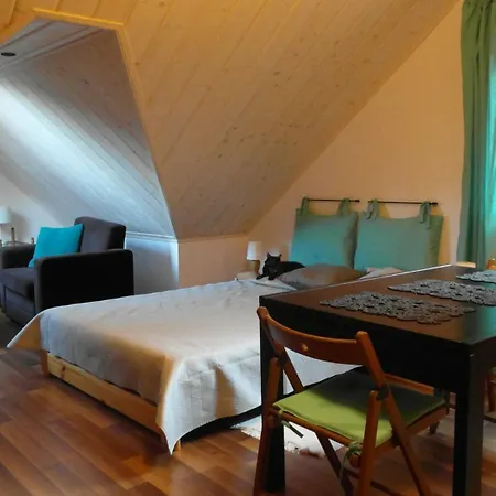 Nasze Gorskie Apartment