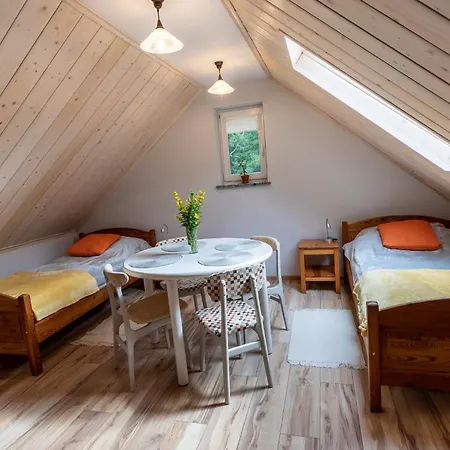 Nasze Gorskie Apartment *