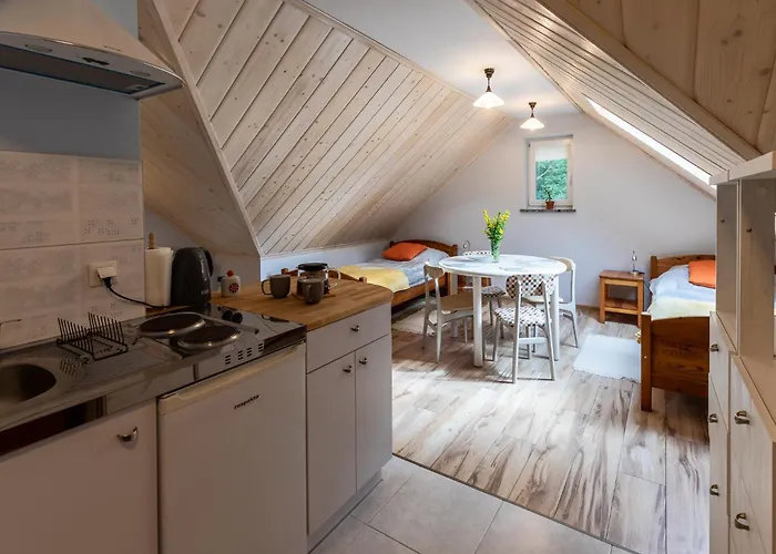 Daire Nasze Gorskie *